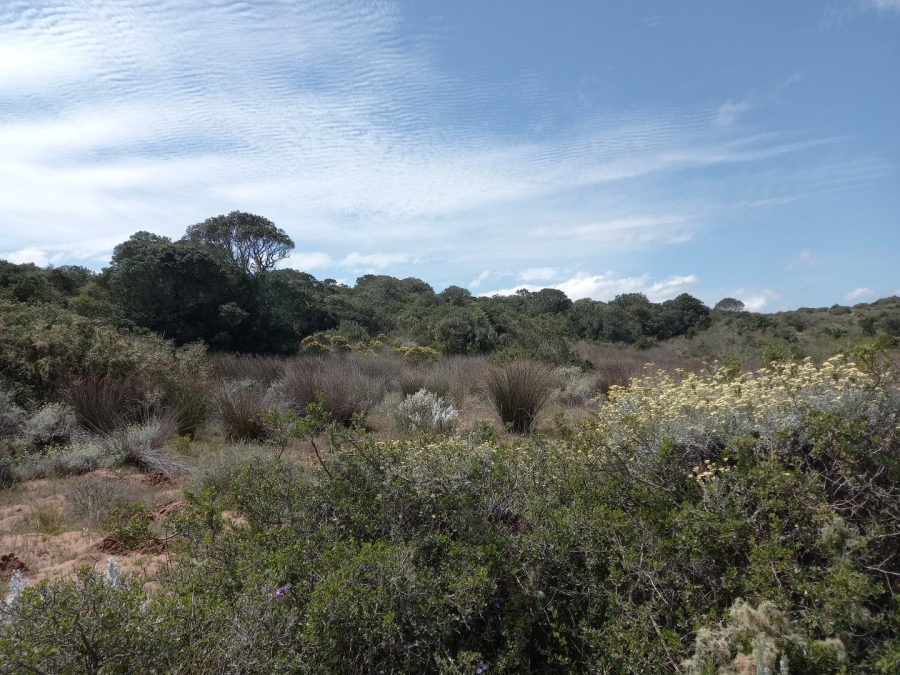 3 Bedroom Property for Sale in Stilbaai Rural Western Cape